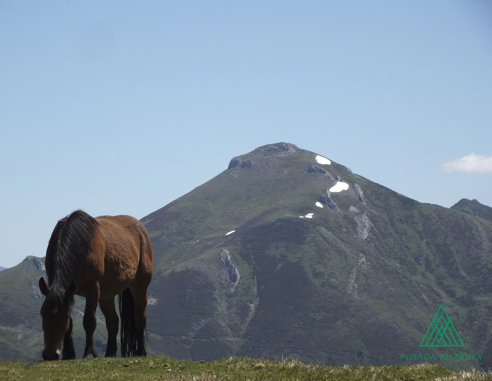 بوت Posada Rural Bistruey الغرفة الصورة